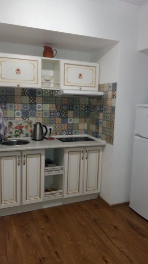 Na Pushkinskoi Apartment Odessa Ngoại thất bức ảnh